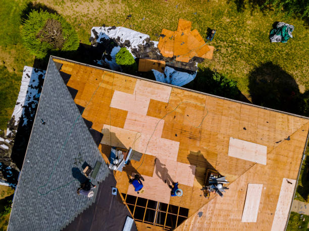 Roof Gutter Cleaning in Cedarburg, WI